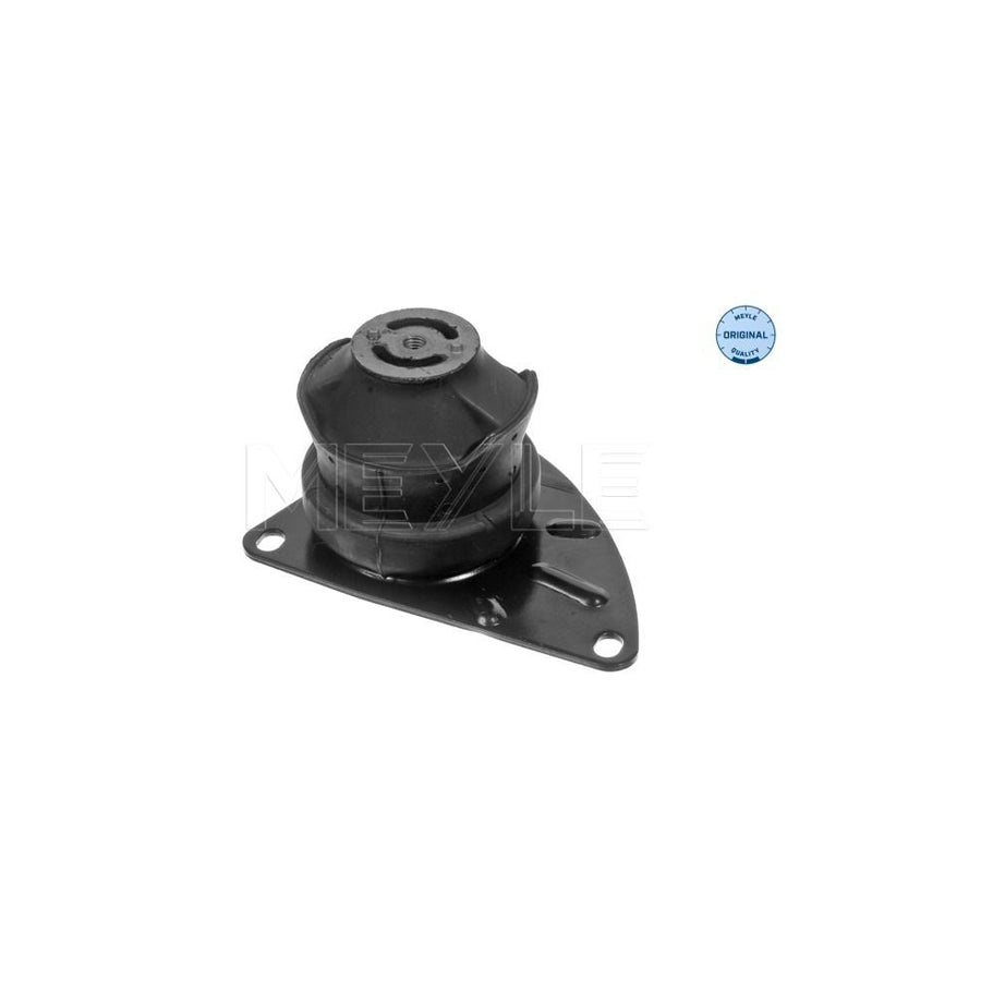Meyle 100 199 0101 Engine Mount