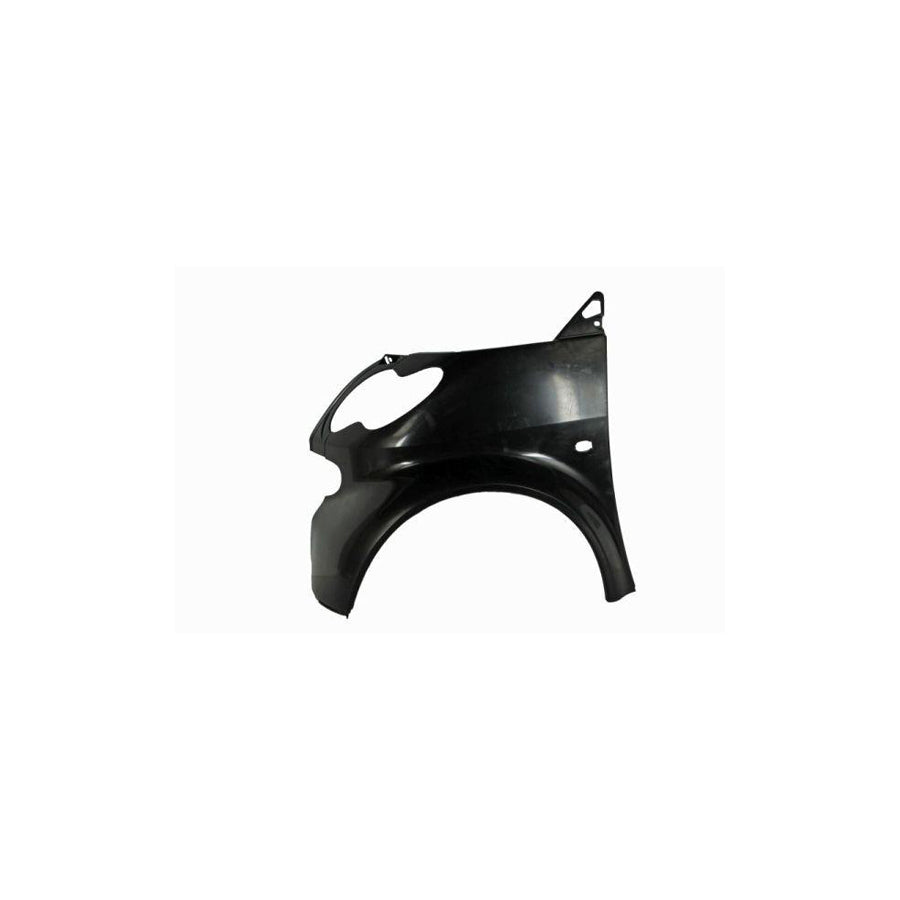 Blic 6504-04-3502313Q Wing Fender For Smart Fortwo