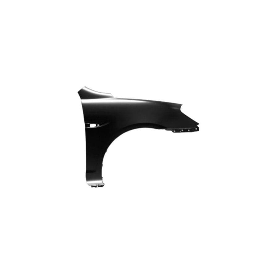 Abakus 01908212 Wing Fender For Hyundai Accent | ML Performance UK