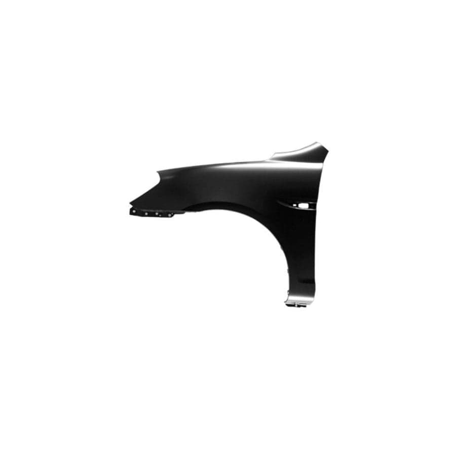 Abakus 01908211 Wing Fender For Hyundai Accent | ML Performance UK