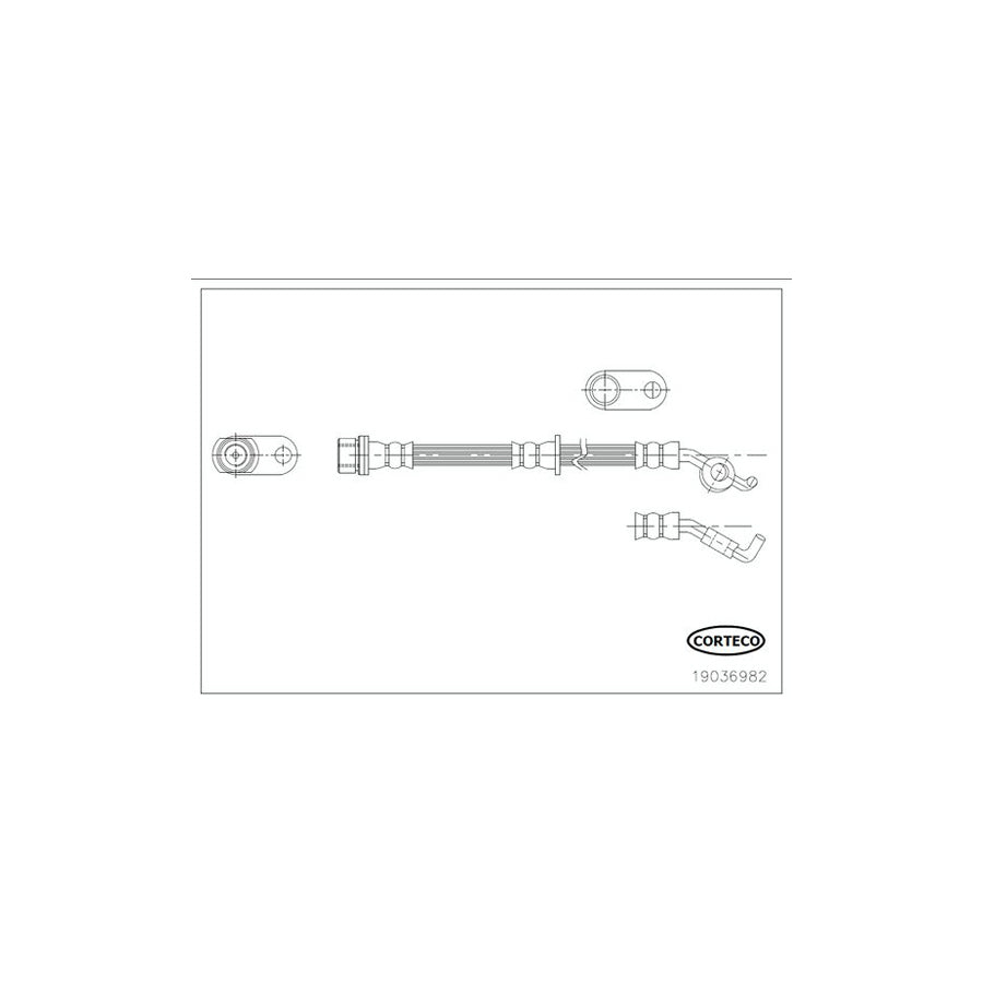 Corteco 19036982 Brake Hose | ML Performance UK