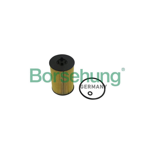 Borsehung B10532 Oil Filter