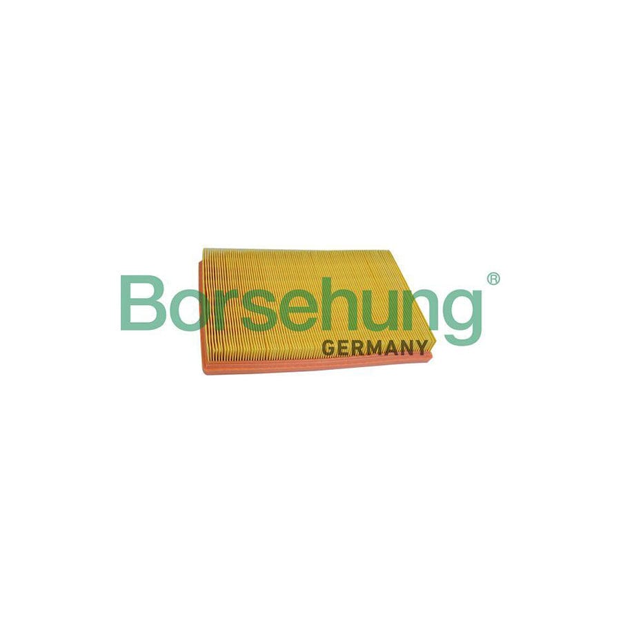 Borsehung B10530 Air Filter