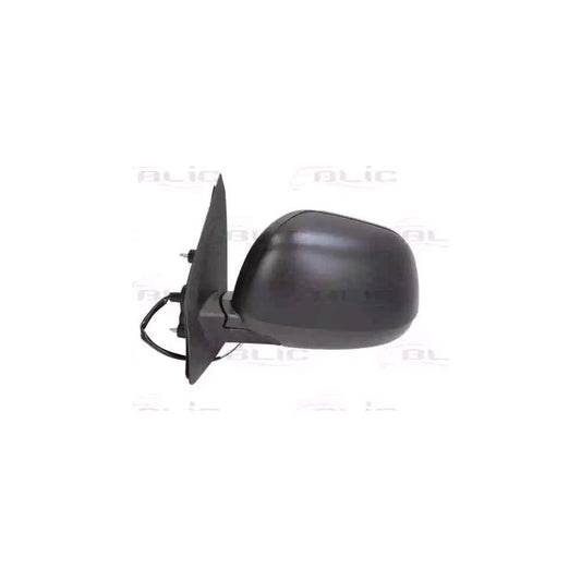 Blic 5402-21-033361P Wing Mirror