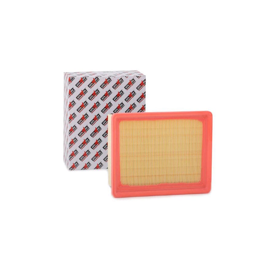 AUTOMEGA 180030010 Air Filter | ML Performance UK Car Parts