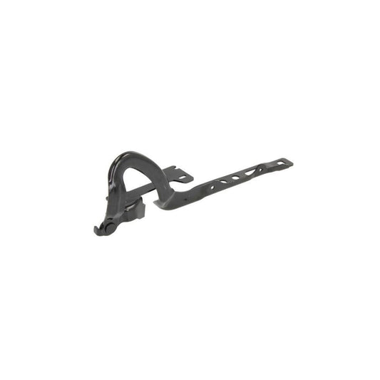 Blic 6802-00-5509451P Hinge, Bonnet For Peugeot 208