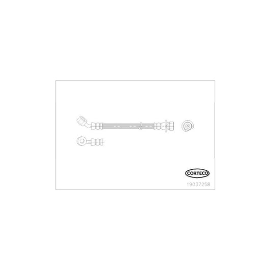 Corteco 19037258 Brake Hose | ML Performance UK