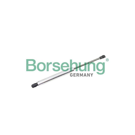 Borsehung B18460 Tailgate Strut For Vw Phaeton (3D1, 3D2, 3D3, 3D4, 3D6, 3D7, 3D8, 3D9)