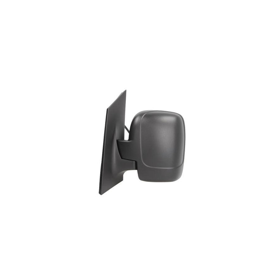 Blic 5402-21-032365P Wing Mirror