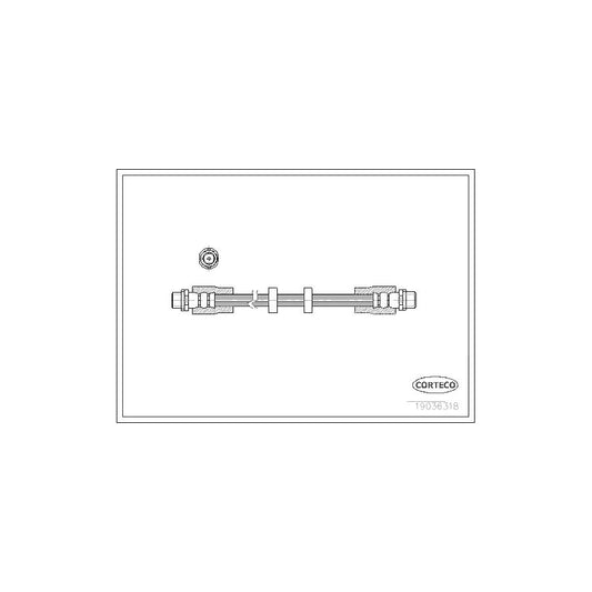 Corteco 19036318 Brake Hose For Audi A6 | ML Performance UK