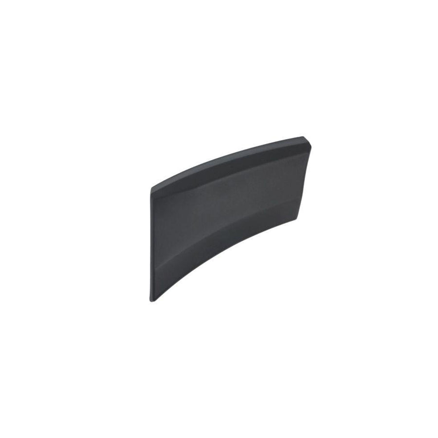 Blic 5703-08-9564375P Trim / Protective Strip, Mudguard