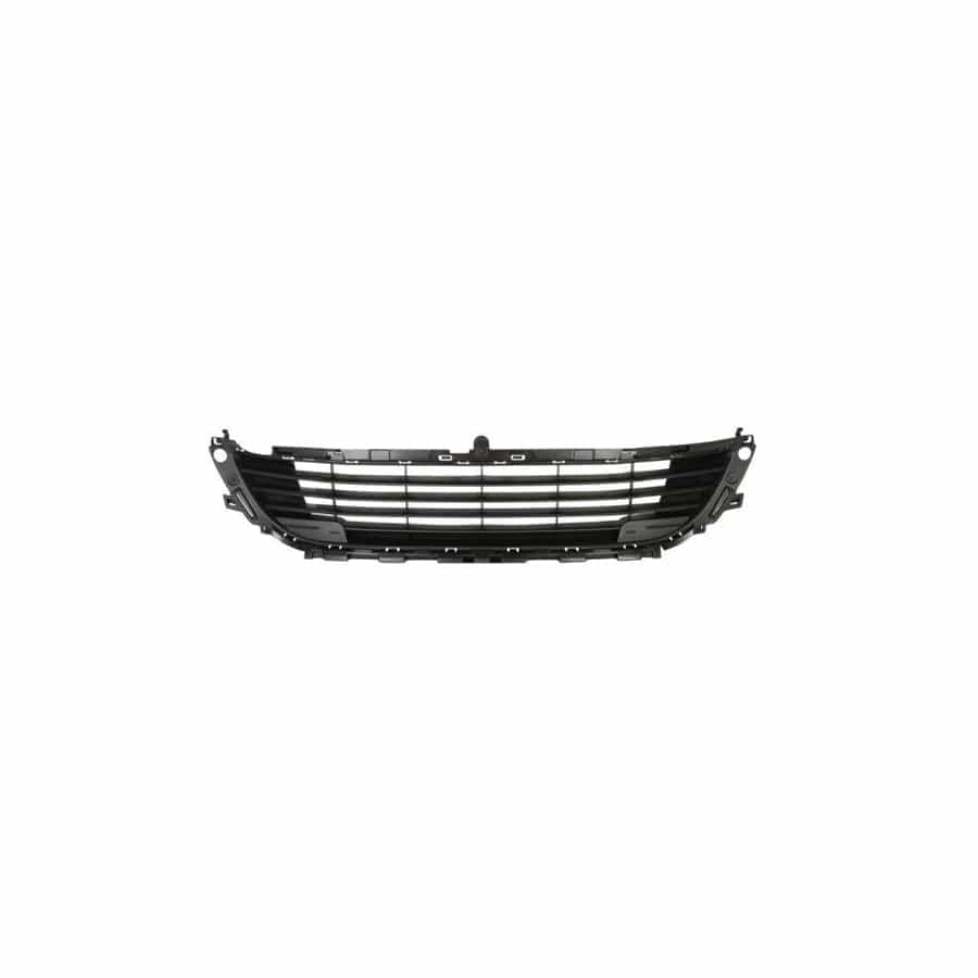 Blic 6502-07-0537913P Bumper Grill For Citroen C4