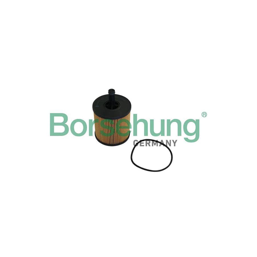 Borsehung B10548 Oil Filter