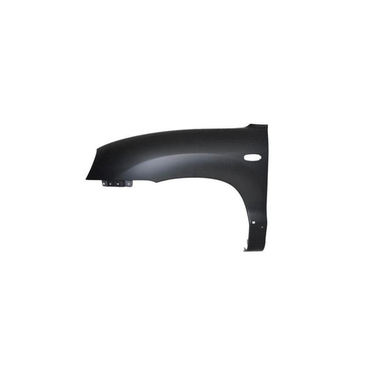 Abakus 01930212 Wing Fender For Hyundai Santa Fe I (Sm) | ML Performance UK