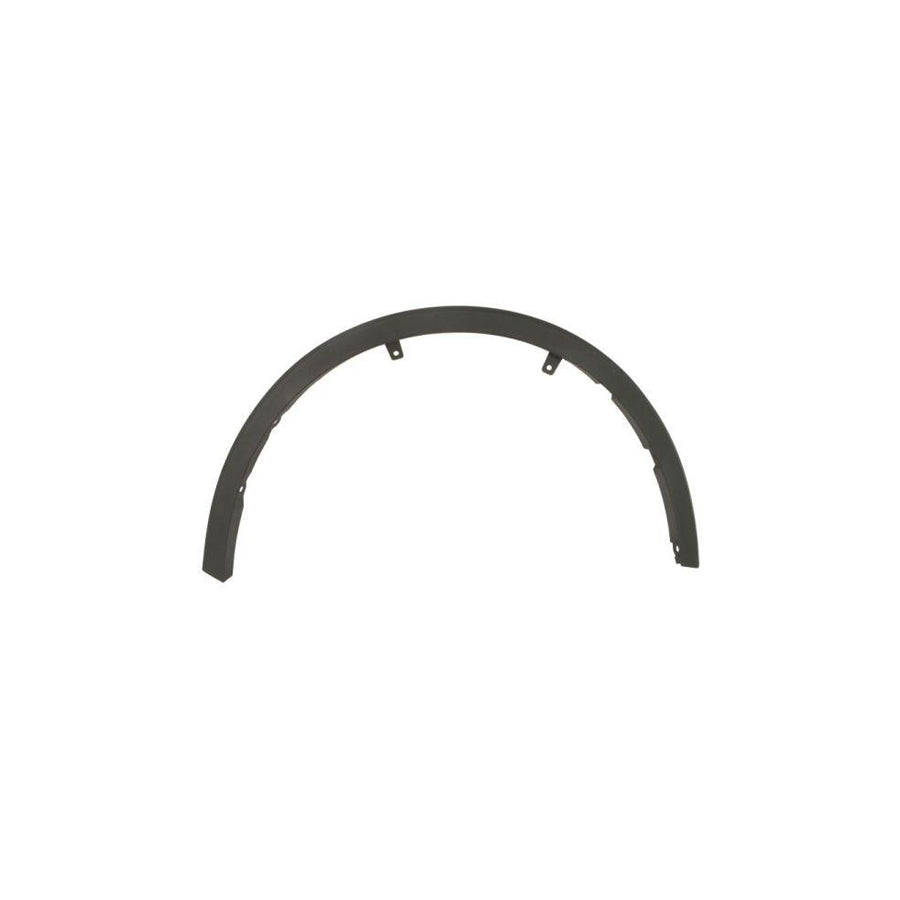 Blic 5703-08-8182376P Trim / Protective Strip, Mudguard