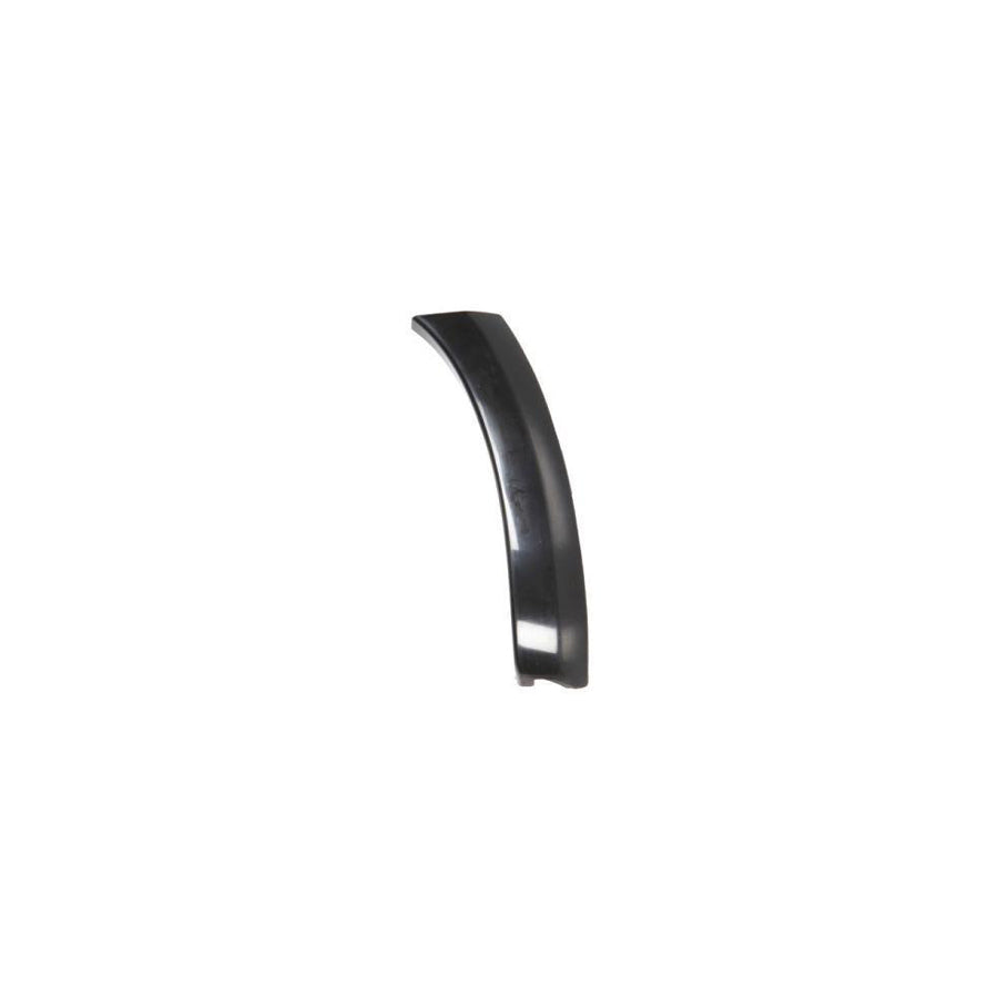 Blic 5703-08-8179380P Trim / Protective Strip, Mudguard For Toyota Rav4 III Off-Road (Xa30)
