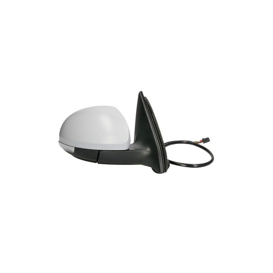Blic 5402-01-2002724P Wing Mirror