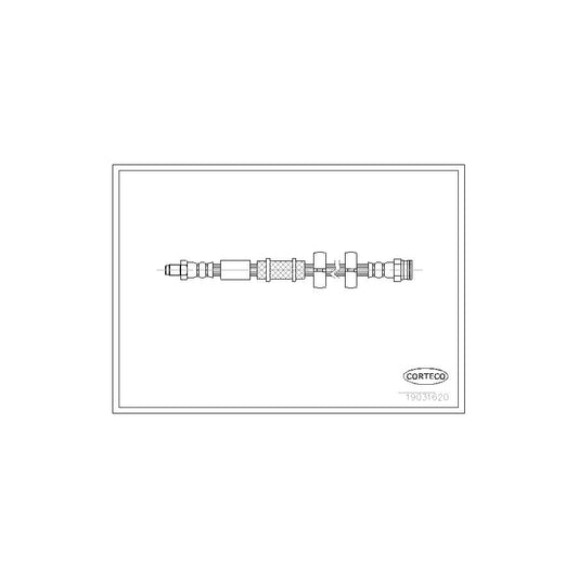 Corteco 19031620 Brake Hose | ML Performance UK
