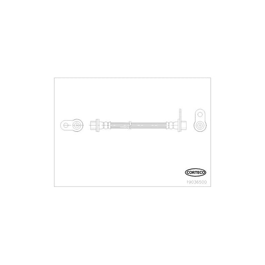Corteco 19036500 Brake Hose | ML Performance UK
