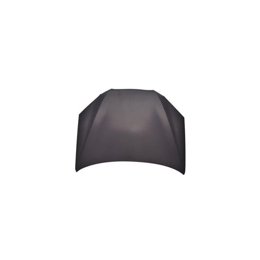 Abakus 01952100 Bonnet For Hyundai Genesis | ML Performance UK