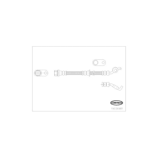Corteco 19036981 Brake Hose | ML Performance UK
