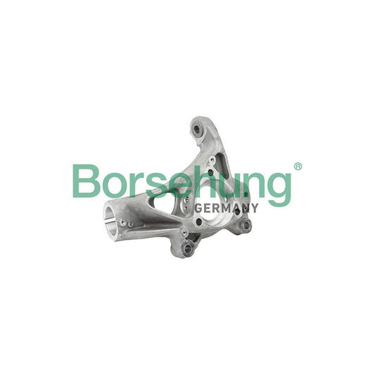 Borsehung B18510 Steering Knuckle