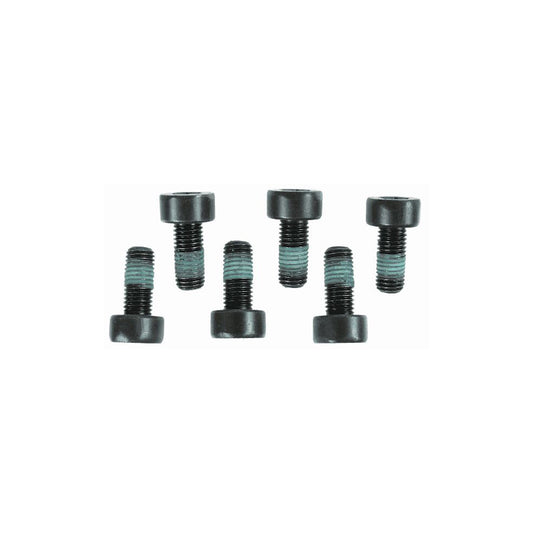 Sachs 1874 000 004 Screw Set, Flywheel