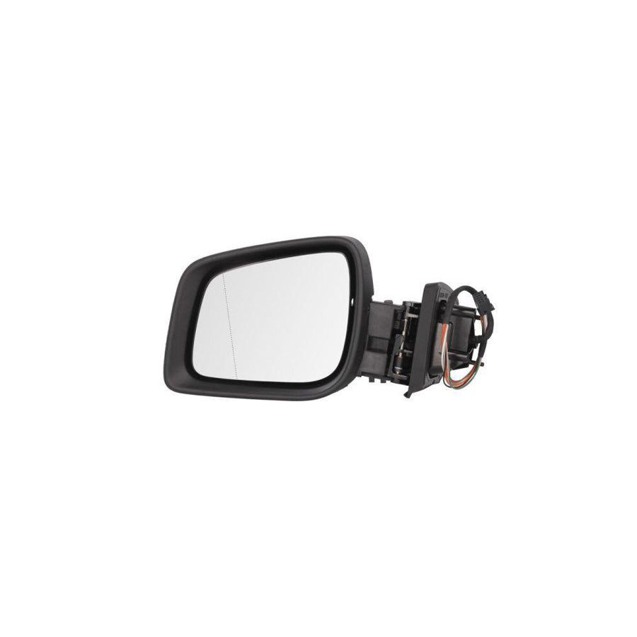 Blic 5402-02-2001787P Wing Mirror