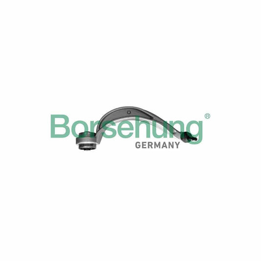Borsehung B10840 Suspension Arm