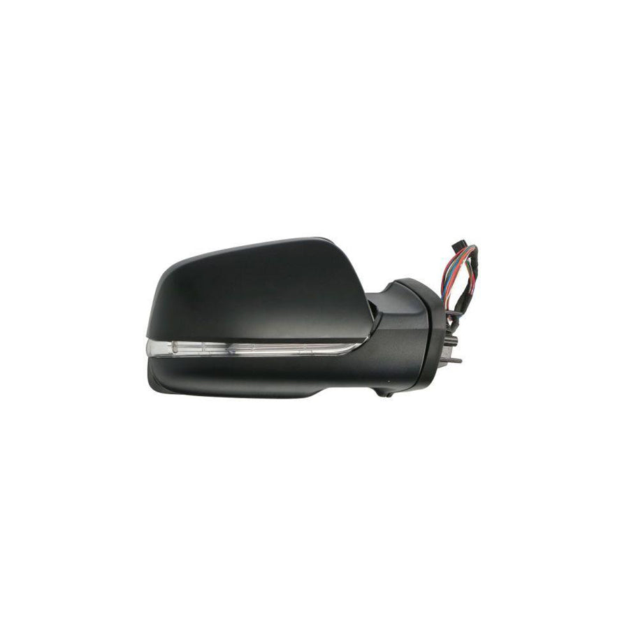 Blic 5402-02-2001784P Wing Mirror