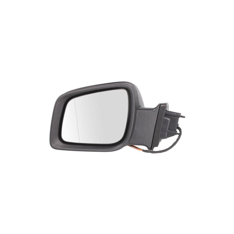 Blic 5402-02-2001781P Wing Mirror