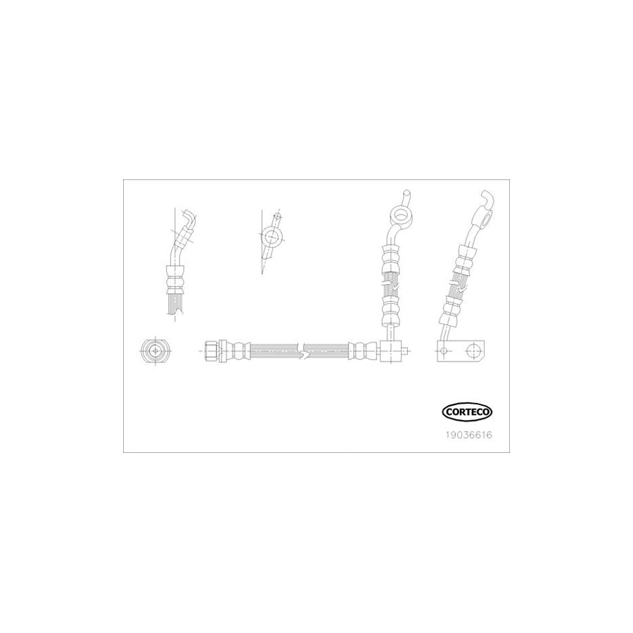 Corteco 19036616 Brake Hose For Toyota Yaris I Hatchback (P1) | ML Performance UK