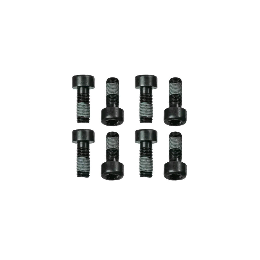 Sachs 1874 000 060 Screw Set, Flywheel