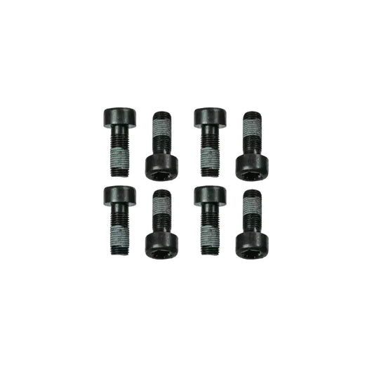 Sachs 1874 000 060 Screw Set, Flywheel