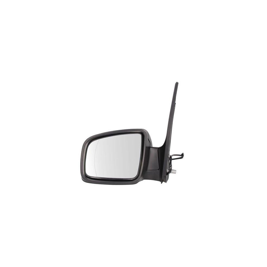 Blic 5402-02-2001829P Wing Mirror