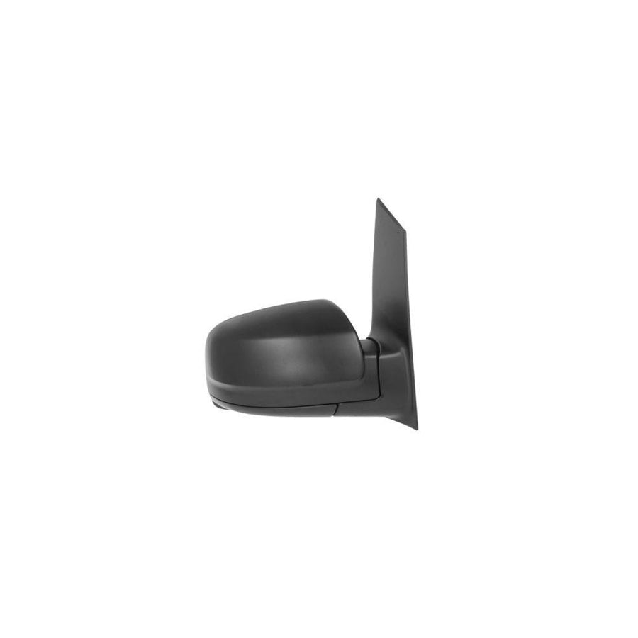 Blic 5402-02-2001828P Wing Mirror