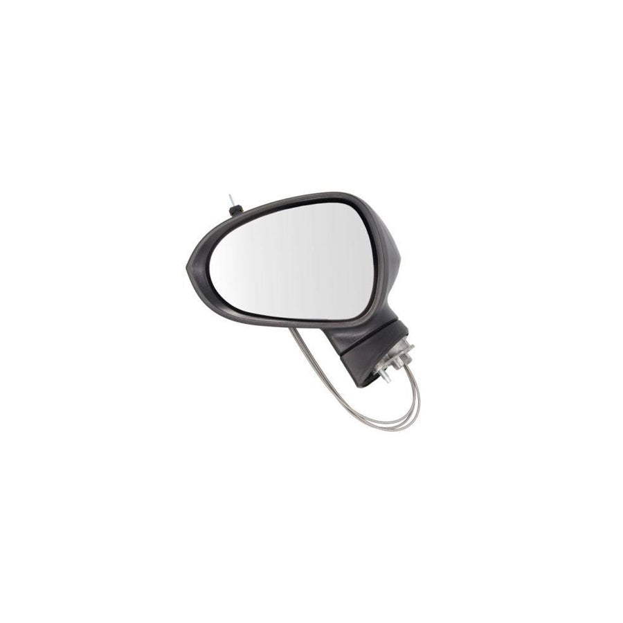 Blic 5402-21-044373P Wing Mirror For Citroen C4 II Picasso
