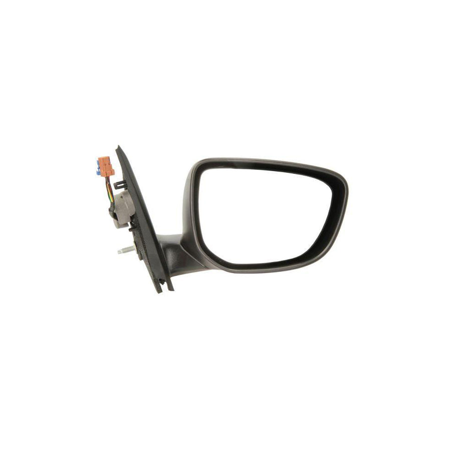 Blic 5402-21-044362P Wing Mirror