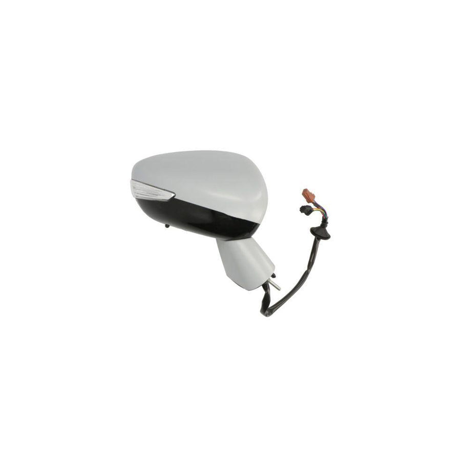 Blic 5402-21-046364P Wing Mirror