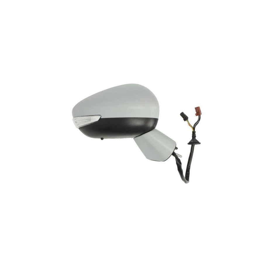 Blic 5402-21-046362P Wing Mirror
