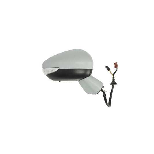 Blic 5402-21-046362P Wing Mirror