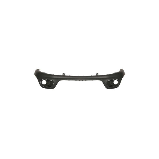 Blic 5510-00-0532900P Bumper For Citroen C3