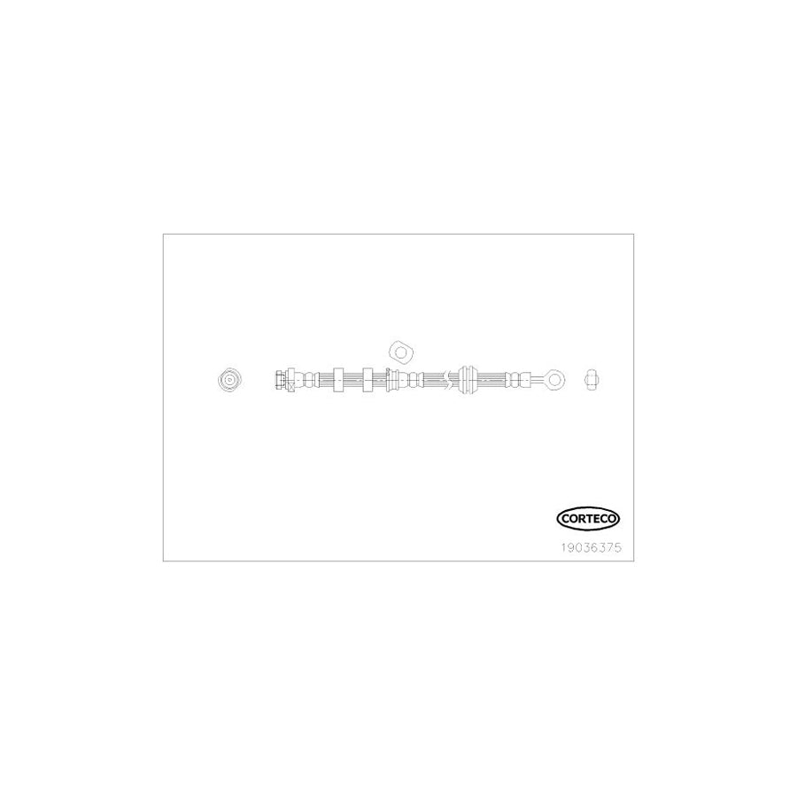 Corteco 19036375 Brake Hose | ML Performance UK