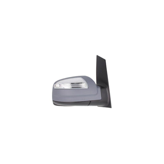 Blic 5402-02-2001834P Wing Mirror
