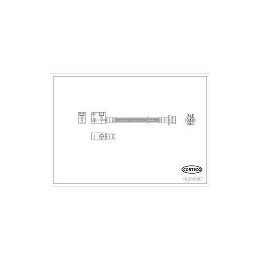 Corteco 19036987 Brake Hose | ML Performance UK