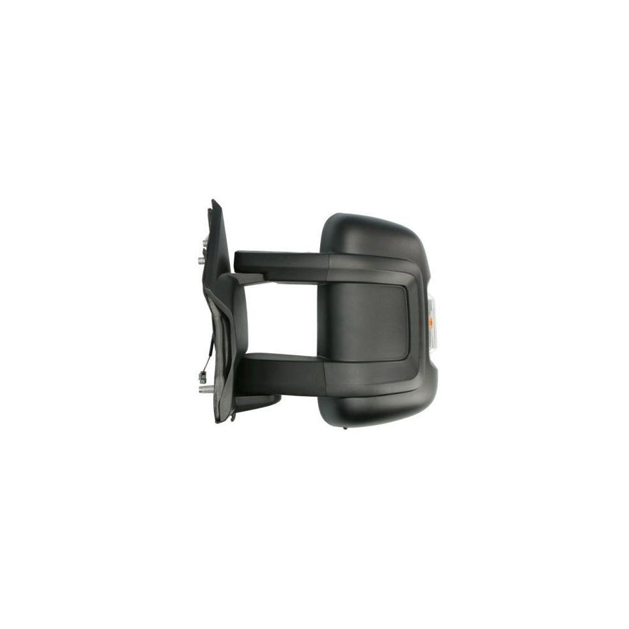 Blic 5402-21-2002789P Wing Mirror