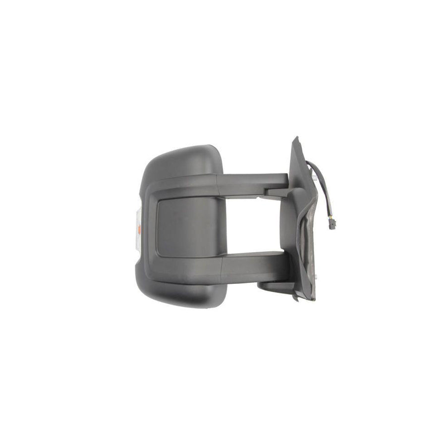 Blic 5402-21-2001120P Wing Mirror