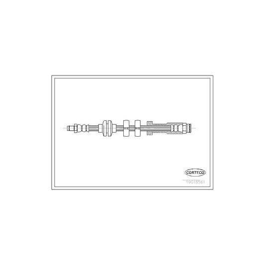 Corteco 19018561 Brake Hose | ML Performance UK