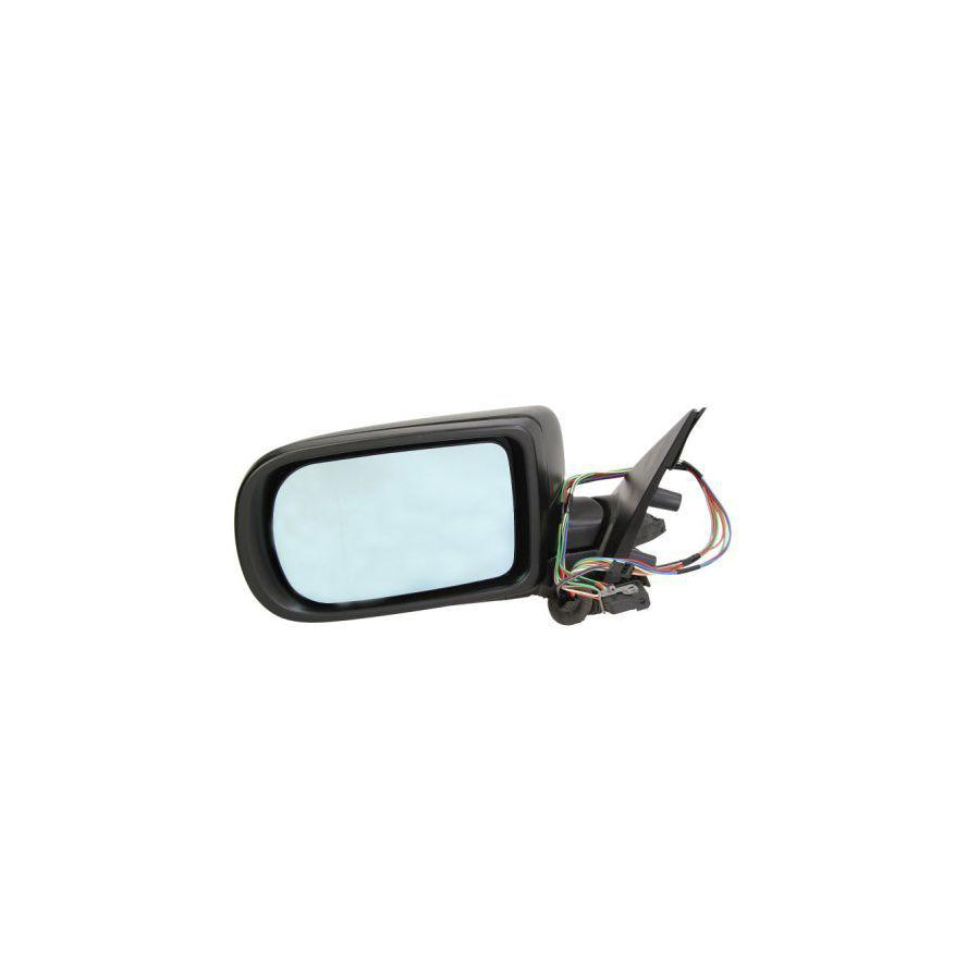 Blic 5402-04-1125825 Wing Mirror For BMW 5 Series