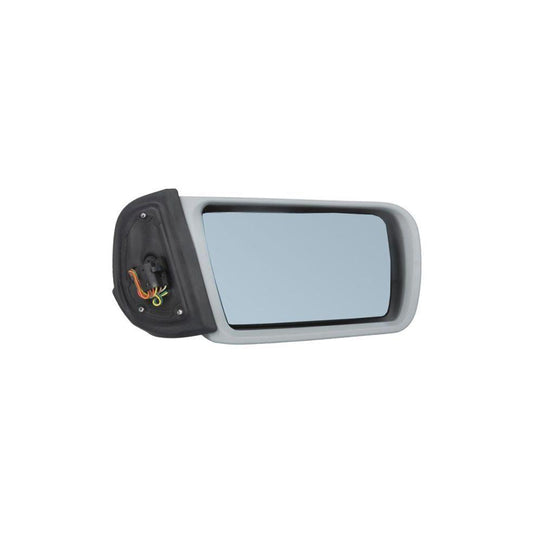 Blic 5402-02-2002870P Wing Mirror